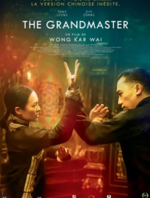 The Grandmaster - Wong Kar-wai - critique