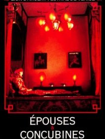 Epouses et concubines - la critique 