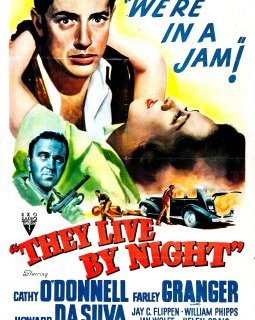 Les amants de la nuit - Nicholas Ray - critique