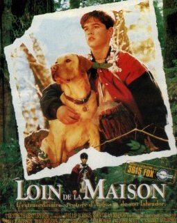 Loin de la Maison : quand Jesse Bradford adoptait un chien
