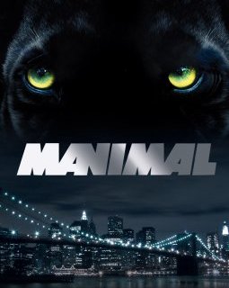 Manimal, l'intégrale en coffret DVD en octobre