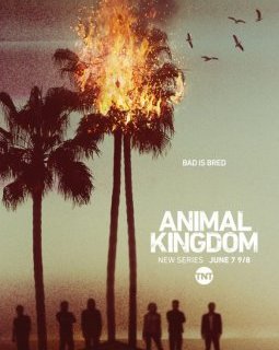 Animal Kingdom devient une série télé