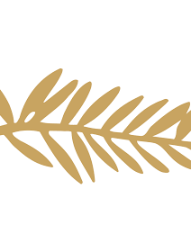 Sylvester Stallone au Festival de Cannes