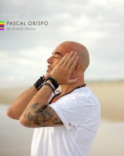 Pascal Obispo - Le grand amour, critique