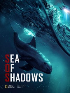 Sea of shadows - la critique du documentaire
