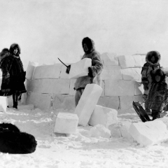 Inuit construisant un igloo avec des blocs de neige