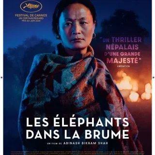 Les éléphants dans la brume - Abinash Bikram Shah - critique