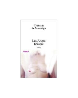 Les anges brûlent - la critique du livre