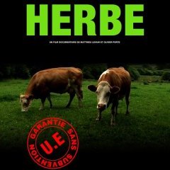 Copyright Parasite Distribution