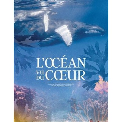 L'Océan vu du cœur - Iolande Cadrin-Rossignol, Marie-Dominique Michaud - critique