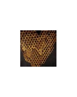 Map of what is effortless 