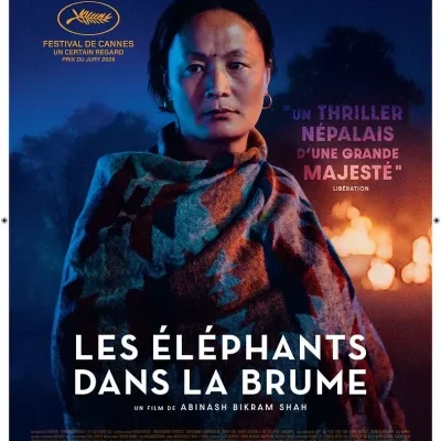 Les éléphants dans la brume - Abinash Bikram Shah - critique