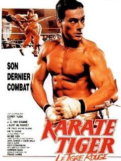 Karaté Tiger – le tigre rouge : la critique du film