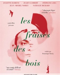 Les fraises des bois / Confort moderne – Le test DVD