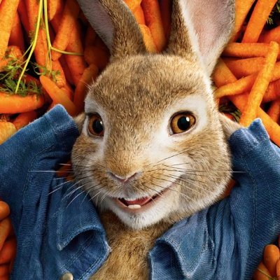 Pierre Lapin : Philippe Lacheau dans un civet de Pâques. 