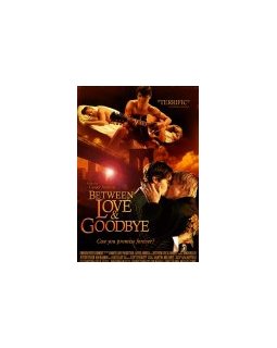 Between love and goodbye - Fiche film
