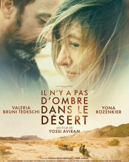 Il n'y a pas d'ombre dans le désert - Yossi Aviram - critique