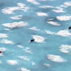 © EuropaCorp Distribution