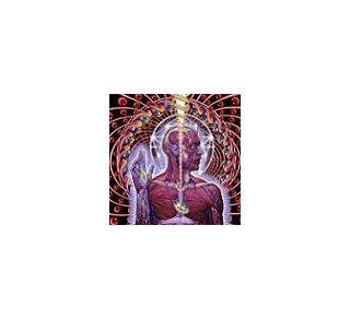 Lateralus - Tool 