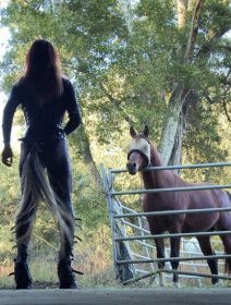 Être Cheval (Etrange Festival 2016) - la critique du film + entretien avec le réalisateur Jérôme Clément Wilz