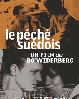 Le péché suédois - Bo Widerberg - critique