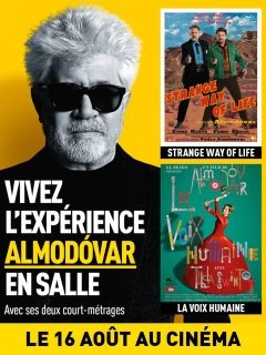L'expérience Almodóvar - Pedro Almodóvar - critique