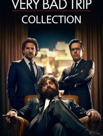 Trilogie Very Bad Trip - Todd Philips - critique 
