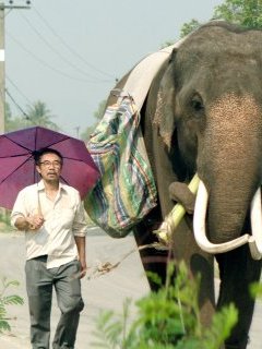 Pop Aye : bande-annonce