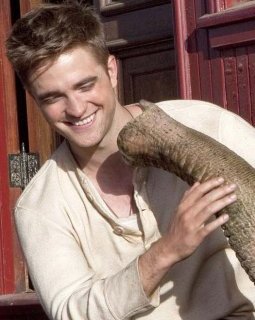 De l'eau pour les éléphants - la bande-annonce du nouveau Robert Pattinson