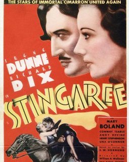 Stingaree - William A. Wellman - critique 