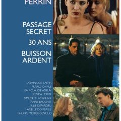 DVD Laurent Perrin