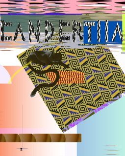 Salopecia : le big bang de l'abstraction