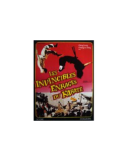 Les invincibles enragés du karaté (Elysées Films)