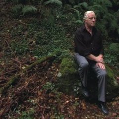 L'inconsolable - Andrea Bacci