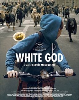 White God : la bande-annonce d'un film qui a du chien