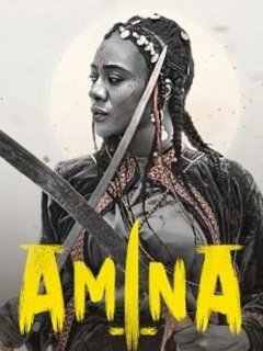 Amina - Izu Ojukwu - critique 