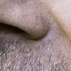 Interview de Thomas Fersen