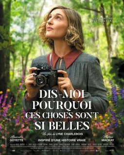 Dis-moi pourquoi ces choses sont si belles - Lyne Charlebois - critique