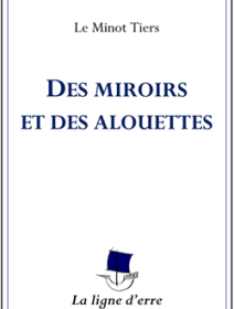 Des miroirs et des alouettes - La critique du livre