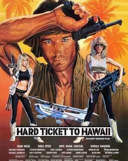 Piège Mortel à Hawaï (Hard Ticket to Hawai) - la critique du nanar