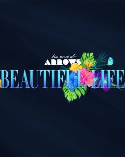 The Sound of Arrows : premier single en 6 ans 