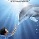 L'Incroyable histoire de Winter le dauphin (Dolphin's tale) 3D