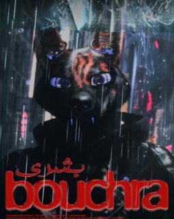 Bouchra - Orian Barki et Meriem Bennani - critique