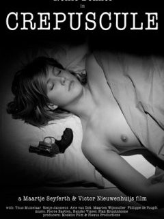 Crépuscule - la critique du film