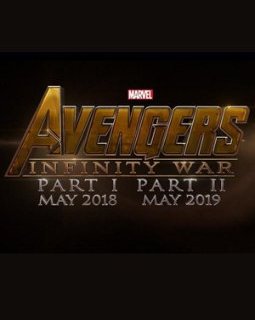 Avengers : Infinity War convoquera l'ensemble de la galaxie Marvel