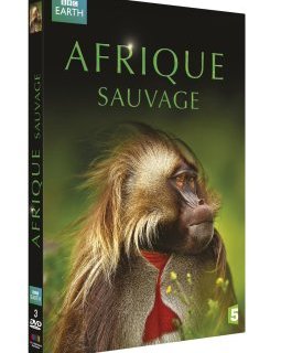 Afrique Sauvage : incursion sur un continent encore sauvage
