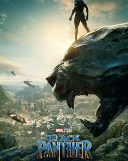 Box-office Paris 14h : Black Panther, Jean Dujardin et Phantom Thread en leaders respectés
