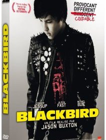 Blackbird - le test DVD