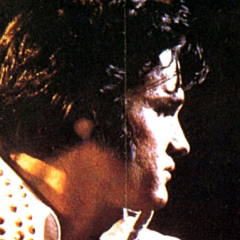 spip-bandeau spip-bandeau