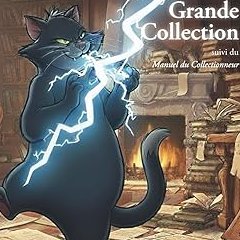 La grande collection : suivi du Manuel du collectionneur - Denis Blanchot - critique